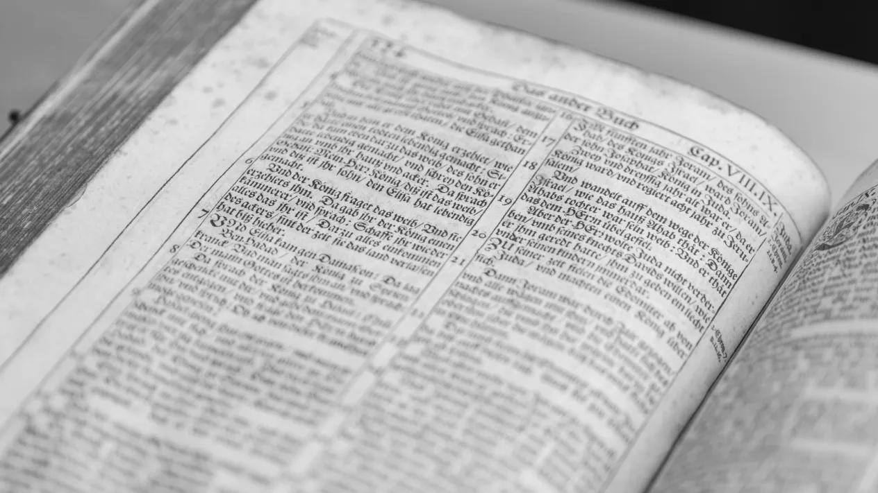 _0002_Titus_Publication Photography_0248 (Foto: Katrin Schulze) _0002_Titus_Publication Photography_0248 (Foto: Katrin Schulze)